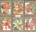 *Známky Kuba 1984 Kvety séria MNH