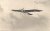 Pohľadnica lietadlo rakúsky monoplán Etrich cca 1910