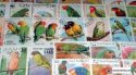 *Známky Papagáje balíček 50 ks rôznych