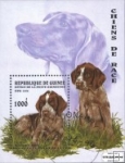 *Známky Guinea 1996 Psy, razený hárček
