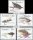*Známky Transkei 1983 Rybárske mušky, nerazítkovaná séria MNH