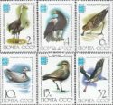 *Známky ZSSR 1982 Vtáci, nerazítkovaná séria MNH