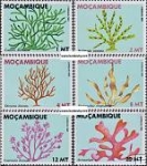 *Známky Mozambik 1983 Morské riasy nerazítk. séria MNH