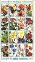 *Známky Rovníková Guinea 1979 Kvety razítk. hárček