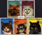 *Známky Paraguay Mačky 1987, razítkovaná séria