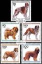 *Známky Nemecko 1996 Plemená psov, nerazítkovaná séria
