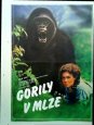 Filmový plakát Gorily v mlze - Příběh Dian Fosseyové Filmový plakát Gorily v mlze - Příběh Dian Fosseyové